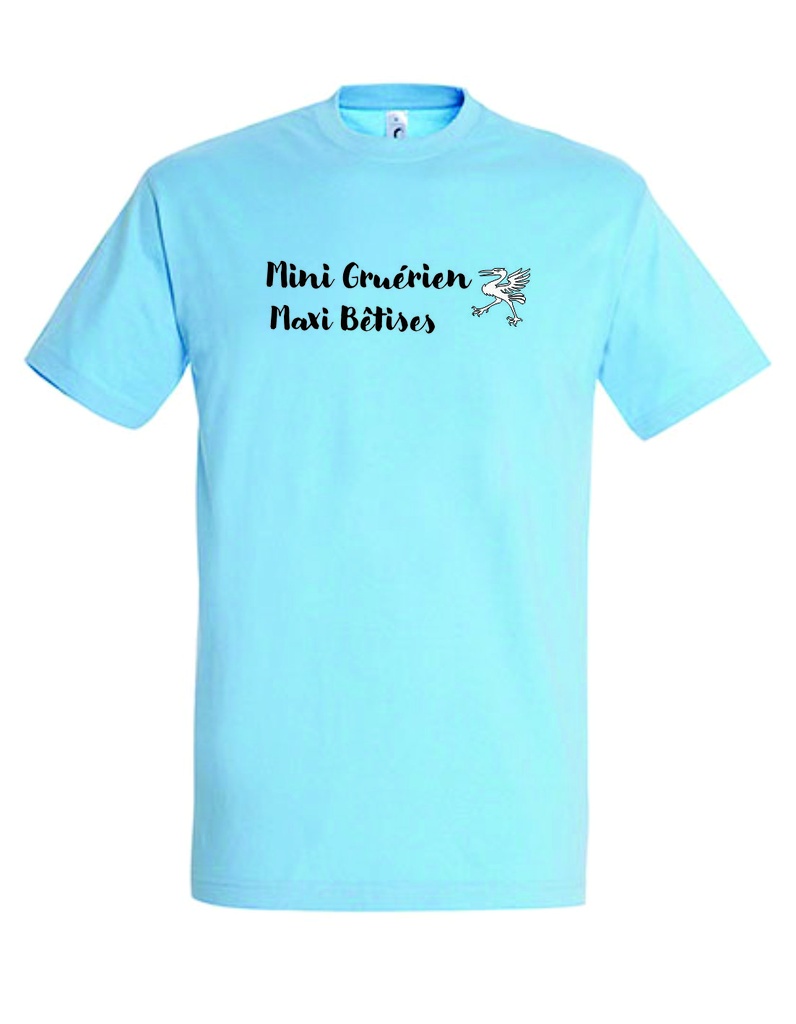 Mini Gruérien sky blue.jpg