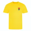 T-shirt Ghana - bigleco
