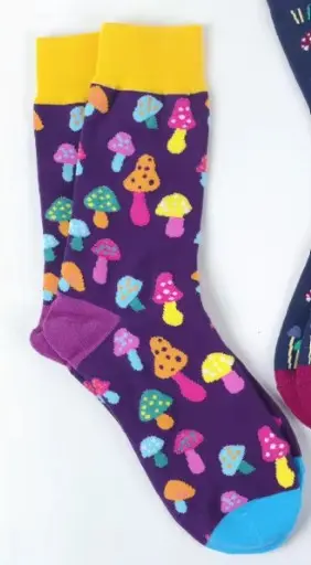 Chaussettes Champignons - bigleco