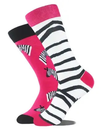 Chaussettes Zèbre - bigleco