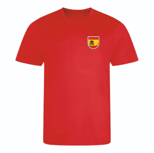 T-shirt Espagne - bigleco