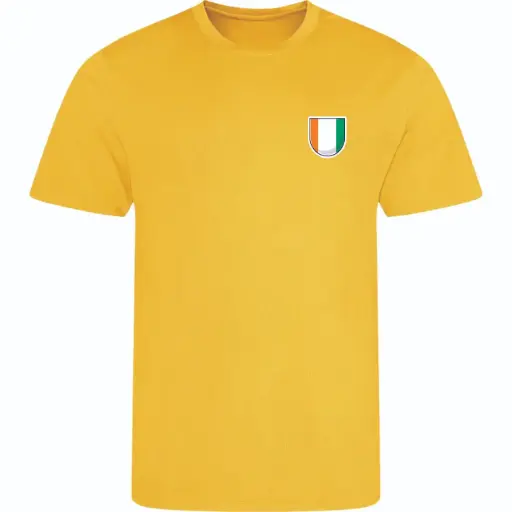 T-shirt Côte d'Ivoire - bigleco