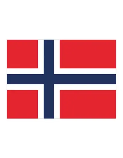 Drapeau Norvège - bigleco